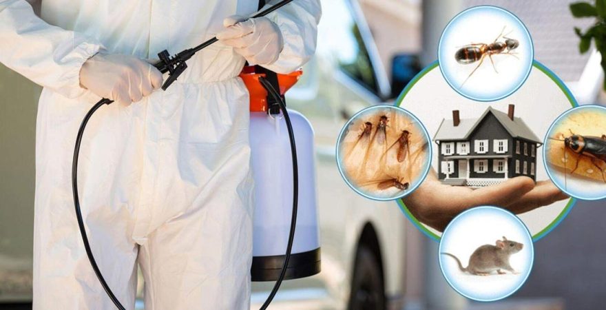 Mezitli Böcek İlaçlama