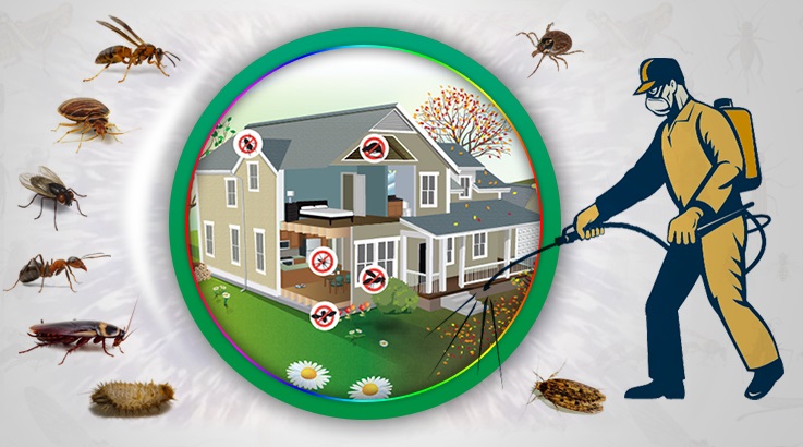 Mezitli Böcek İlaçlama