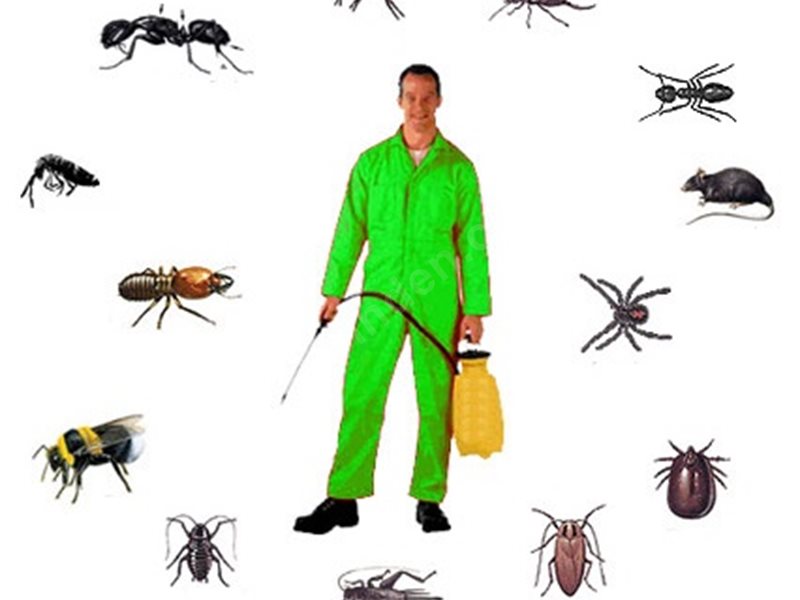 Mezitli Böcek İlaçlama